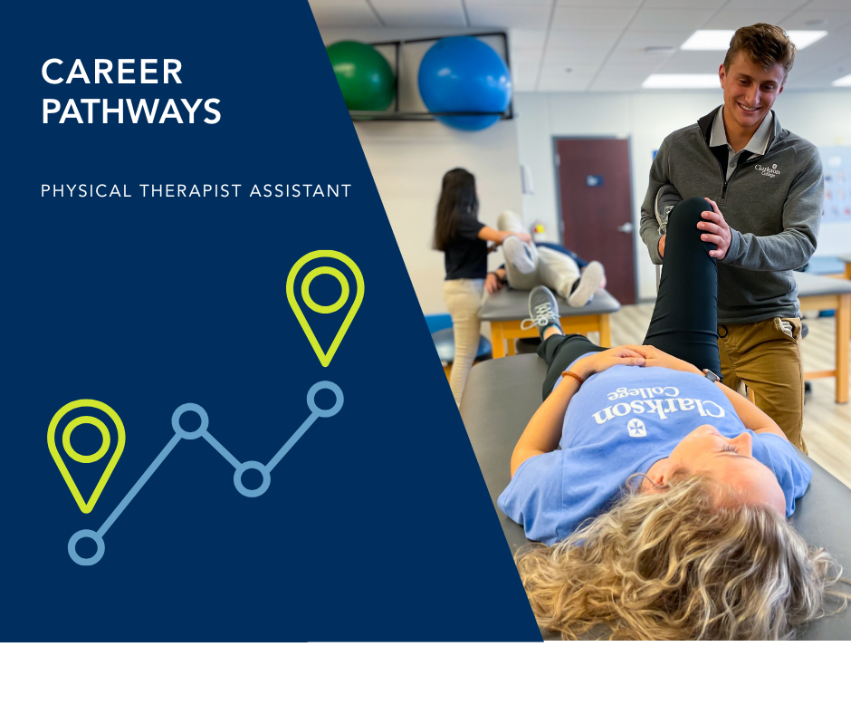 career pathway graphic